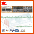 Jinfeng Cage Design for Chicken